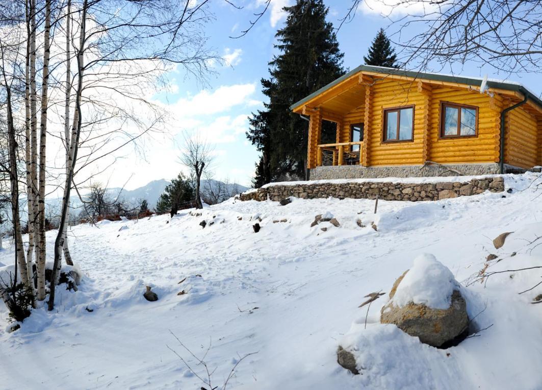 Вила Брезите Pamporovo Exterior photo